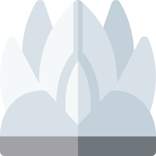 Lotus temple